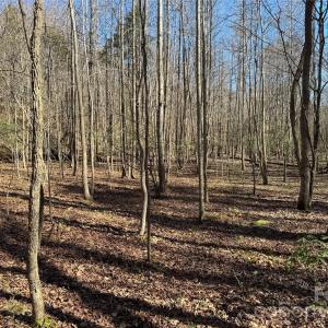 Photo #18 of 5700 Bentley Ridge, Davidson, NC