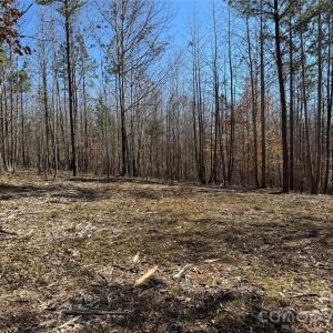 Photo #9 of 5700 Bentley Ridge, Davidson, NC