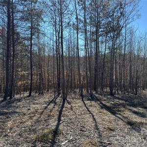 Photo #6 of 5700 Bentley Ridge, Davidson, NC