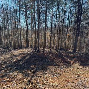 Photo #4 of 5700 Bentley Ridge, Davidson, NC