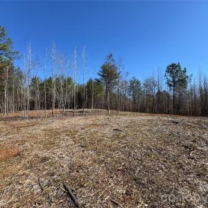 Photo #15 of 5700 Bentley Ridge, Davidson, NC