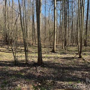 Photo #12 of 5700 Bentley Ridge, Davidson, NC