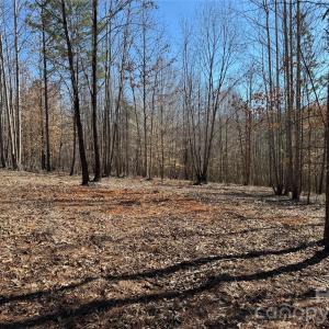 Photo #17 of 5700 Bentley Ridge, Davidson, NC