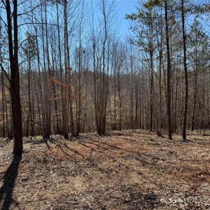 Photo #8 of 5700 Bentley Ridge, Davidson, NC