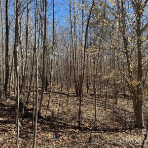 Photo #10 of 5700 Bentley Ridge, Davidson, NC