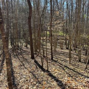 Photo #11 of 5700 Bentley Ridge, Davidson, NC