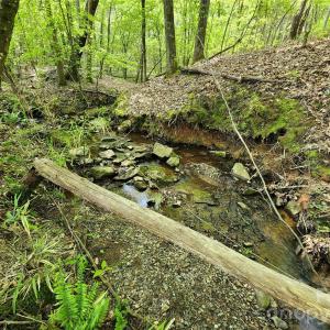 Photo #36 of 6327 Witherspoon, Lancaster, SC