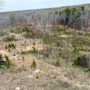 Photo #8 of 6327 Witherspoon, Lancaster, SC