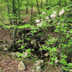 Photo #13 of 6327 Witherspoon, Lancaster, SC