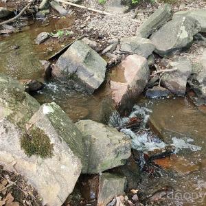 Photo #34 of 6327 Witherspoon, Lancaster, SC