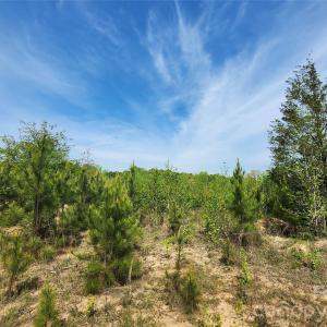 Photo #26 of 6327 Witherspoon, Lancaster, SC