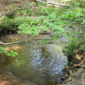 Photo #35 of 6327 Witherspoon, Lancaster, SC