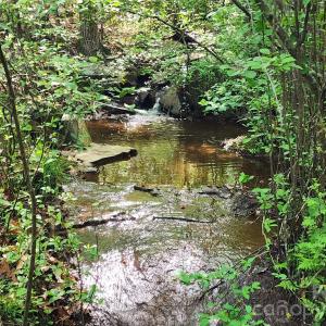 Photo #11 of 6327 Witherspoon, Lancaster, SC