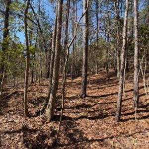 Photo #19 of 12.68 Acre 99, Blair, SC