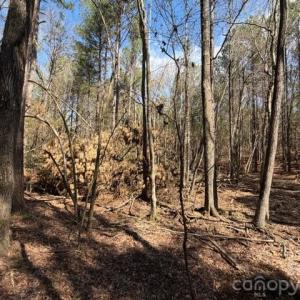 Photo #24 of 12.68 Acre 99, Blair, SC