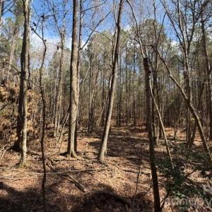 Photo #25 of 12.68 Acre 99, Blair, SC