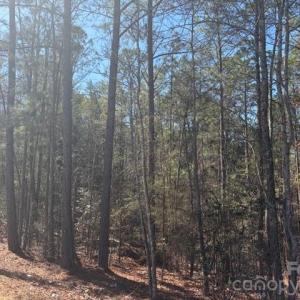 Photo #39 of 12.68 Acre 99, Blair, SC