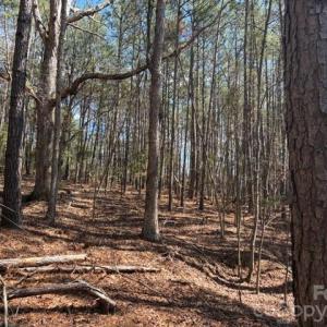 Photo #33 of 12.68 Acre 99, Blair, SC