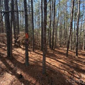 Photo #5 of 12.68 Acre 99, Blair, SC