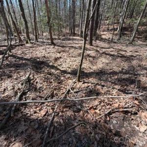 Photo #14 of 12.68 Acre 99, Blair, SC