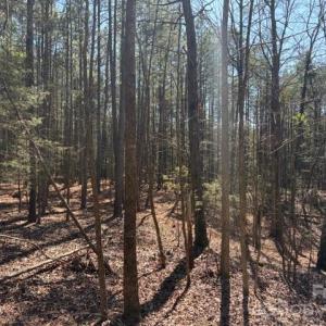 Photo #32 of 12.68 Acre 99, Blair, SC