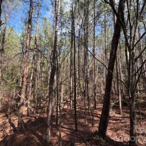 Photo #7 of 12.68 Acre 99, Blair, SC