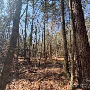 Photo #12 of 12.68 Acre 99, Blair, SC