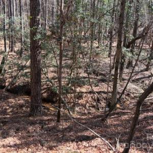 Photo #22 of 12.68 Acre 99, Blair, SC