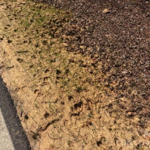 Photo #41 of 12.68 Acre 99, Blair, SC