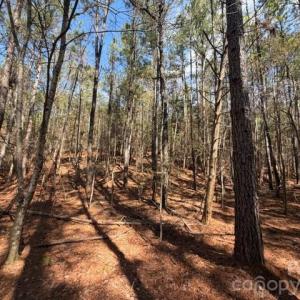 Photo #9 of 12.68 Acre 99, Blair, SC