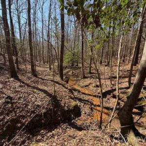 Photo #17 of 12.68 Acre 99, Blair, SC