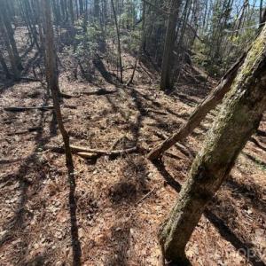 Photo #11 of 12.68 Acre 99, Blair, SC