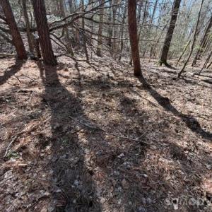 Photo #15 of 12.68 Acre 99, Blair, SC