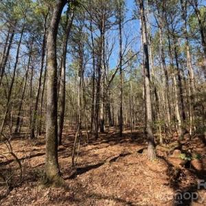 Photo #27 of 12.68 Acre 99, Blair, SC