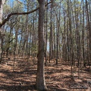 Photo #34 of 12.68 Acre 99, Blair, SC