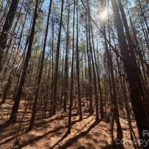 Photo #30 of 12.68 Acre 99, Blair, SC