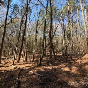 Photo #13 of 12.68 Acre 99, Blair, SC