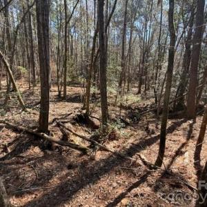 Photo #23 of 12.68 Acre 99, Blair, SC