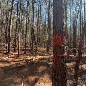 Photo #28 of 12.68 Acre 99, Blair, SC