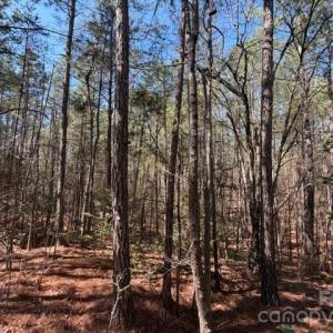 Photo #8 of 12.68 Acre 99, Blair, SC