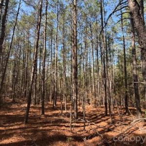 Photo #6 of 12.68 Acre 99, Blair, SC