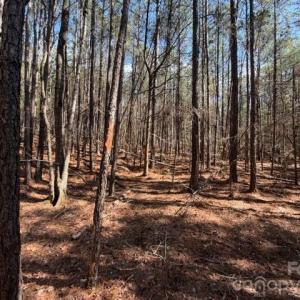 Photo #29 of 12.68 Acre 99, Blair, SC