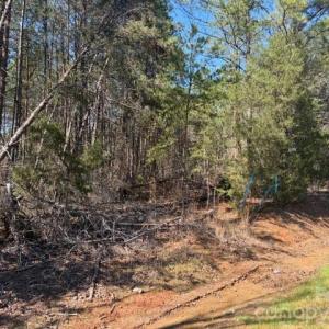 Photo #3 of 12.68 Acre 99, Blair, SC