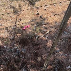 Photo #5 of 7340 Paul Linker, Concord, NC