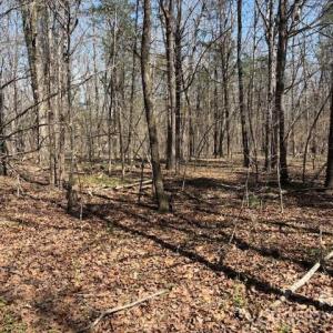 Photo #3 of 7340 Paul Linker, Concord, NC