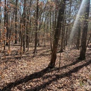 Photo #1 of 7340 Paul Linker, Concord, NC