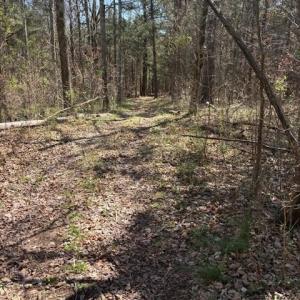 Photo #3 of 7350 Paul Linker, Concord, NC