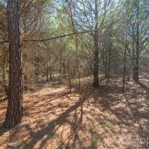 Photo #12 of Cemetery, Fort Lawn, SC