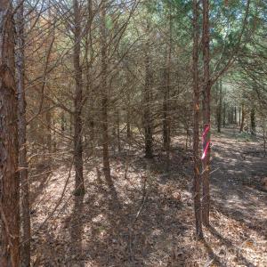 Photo #14 of Cemetery, Fort Lawn, SC