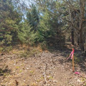 Photo #11 of Cemetery, Fort Lawn, SC
